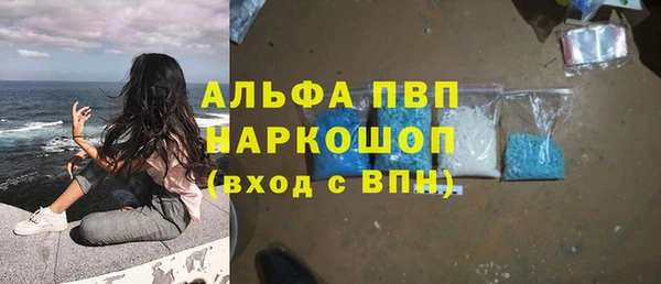 сатива Алексеевка