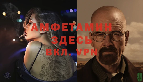 сатива Алексеевка